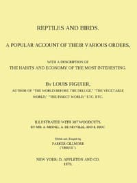 Reptiles and Birds
A Popular Account of Their Various Orders, With a Description of the Habits and Economy of the Most Interesting book cover