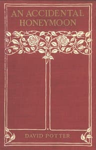 An Accidental Honeymoon book cover