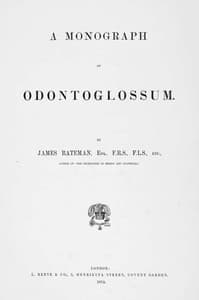 A Monograph of Odontoglossum