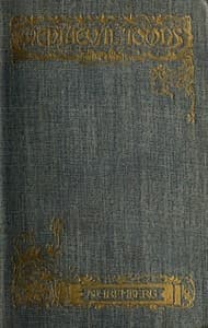 The Story of Nuremberg book cover