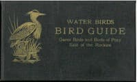 Bird Guide: Water Birds, Game Birds, and Birds of Prey East of the Rockies book cover