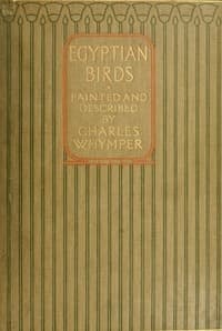 Egyptian Birds
For the most part seen in the Nile Valley
