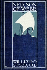Ned, the son of Webb: What he did. book cover