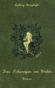 Das Schweigen im Walde: Roman book cover