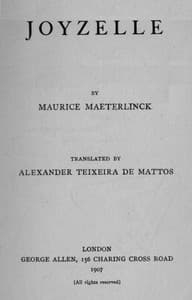 Joyzelle book cover