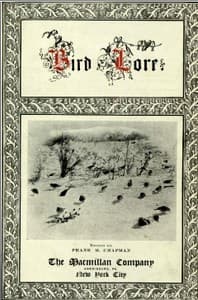 Bird-Lore, Volume I—1899