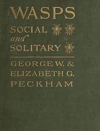 Wasps, Social and Solitary