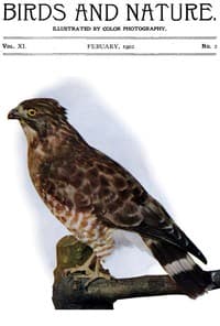 Birds and Nature Vol. 11 No. 2 [February 1902]
Illustrated by Color Photography book cover