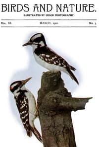 Birds and Nature Vol. 11 No. 3 [March 1902]
Illustrated by Color Photography book cover