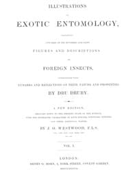Illustrations of Exotic Entomology, Volume 1