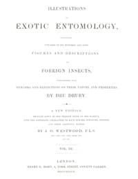 Illustrations of Exotic Entomology, Volume 3 book cover