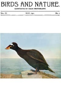 Birds and Nature Vol. 09 No. 5 [May 1901]
Illustrated by Color Photography book cover