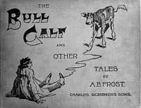 The Bull Calf, and Other Tales book cover