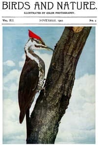 Birds and Nature, Vol. 12 No. 4 [September 1902]
Illustrated by Color Photography book cover