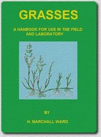 Grasses book cover