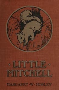 Little Mitchell: The Story of a Mountain Squirrel