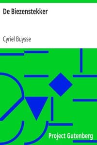 De Biezenstekker book cover