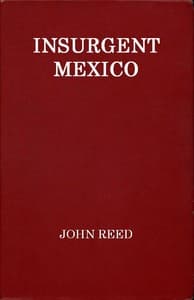 Insurgent Mexico