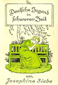 Deutsche Jugend in schwerer Zeit: Erzählung für die Jugend
Dritte Auflage book cover