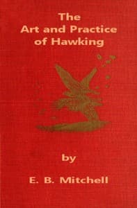 The Art and Practice of Hawking