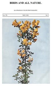 Birds and All Nature, Vol. 7, No. 5, May 1900
Illustrated by Color Photography book cover