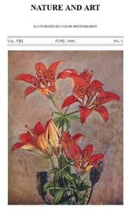 Birds and Nature, Vol. 08, No. 1, June 1900
In Natural Colors book cover