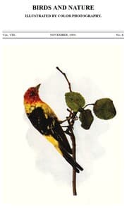 Birds and Nature, Vol. 08, No. 4, November 1900
Illustrated by Color Photography book cover