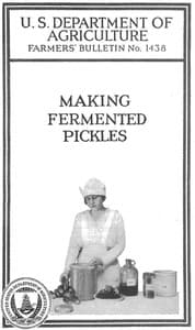 Making Fermented Pickles