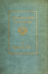Once Upon a Time in Delaware book cover
