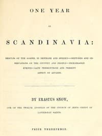 One year in Scandinavia