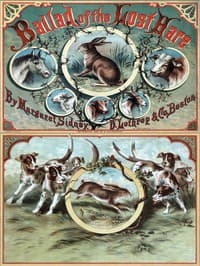 Ballad of the Lost Hare book cover