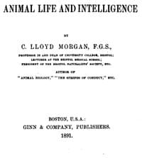Animal Life and Intelligence book cover