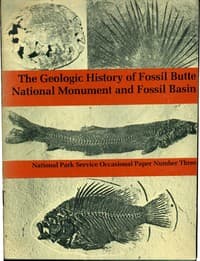 The Geological History of Fossil Butte National Monument and Fossil Basin book cover