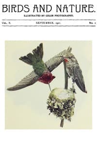 Birds and Nature, Vol 10 No. 2 [September 1901] book cover