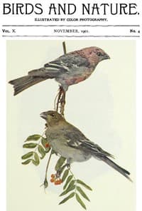 Birds and Nature, Vol. 10 No. 4 [November 1901] book cover