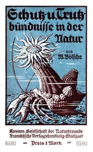 Schutz- und Trutzbündnisse in der Natur