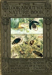 The 'Look About You' Nature Study Books, Book 4 [of 7] book cover
