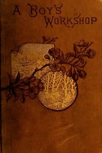 A Boy's Workshop: With plans and designs for in-door and out-door work book cover