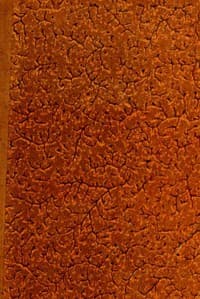 Louis XIV et Marie Mancini d'après de nouveaux documents book cover