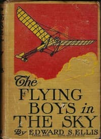 The Flying Boys in the Sky book cover