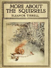 More About the Squirrels