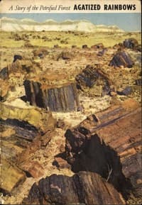 Agatized Rainbows: A Story of the Petrified Forest book cover