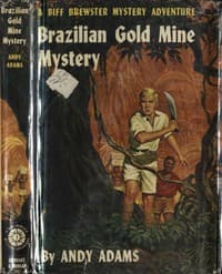 Brazilian Gold Mine Mystery book cover