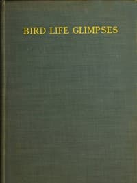 Bird Life Glimpses