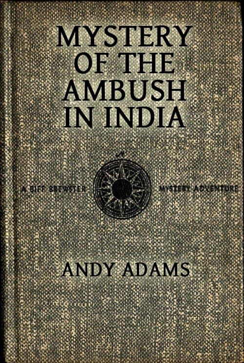 Mystery of the Ambush in India book cover