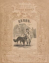 Bruno; or, lessons of fidelity, patience, and self-denial taught by a dog book cover
