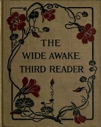 The Wide Awake Third Reader