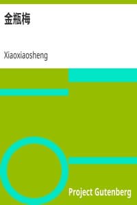 金瓶梅 book cover