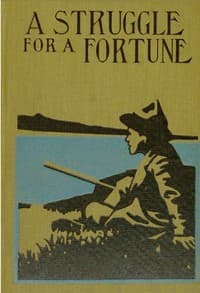 A Struggle for a Fortune book cover