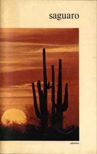 Saguaro National Monument, Arizona